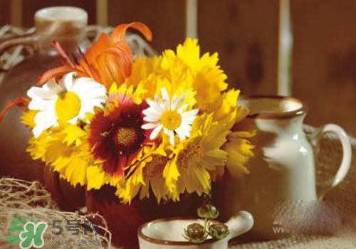 花粉過(guò)敏會(huì)遺傳嗎？花粉過(guò)敏為什么會(huì)遺傳？