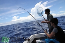 三月份可以釣魚了嗎？三月份好釣魚嗎？