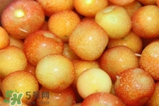 白玉櫻桃是什么？白玉櫻桃能吃嗎？