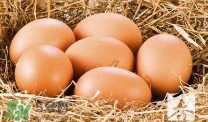 酒釀蛋真能豐胸嗎？酒釀蛋怎么吃豐胸？