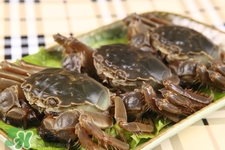 三月份的螃蟹可以吃嗎？三月份還有螃蟹吃嗎？