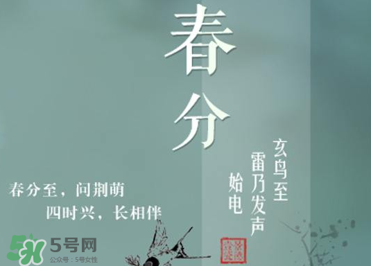 春分種什么菜？春分適合種什么菜？