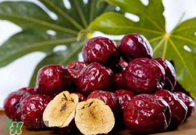 紅棗外面白色的是什么？紅棗上面有一層白的是什么東西？