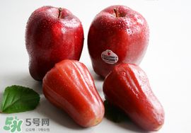 蛇果是脆的還是面的？蛇果是粉的還是脆的？