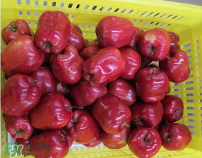 蛇果打蠟用什么洗？蛇果上的蠟怎么去除？