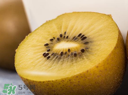 奇異果多少錢一斤？奇異果多少錢一個？