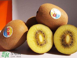 奇異果多少錢一斤？奇異果多少錢一個？