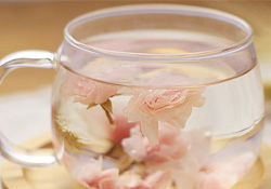 櫻花可以泡水嗎？櫻花泡水喝的功效與作用