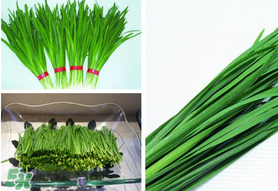 驚蟄前后可以種什么？驚蟄前后種什么蔬菜？