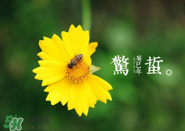 驚蟄前后可以種什么？驚蟄前后種什么蔬菜？