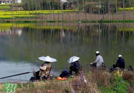 驚蟄前后好釣魚(yú)嗎？驚蟄前后釣魚(yú)技巧
