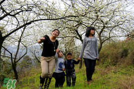 驚蟄穿什么衣服？驚蟄穿什么？