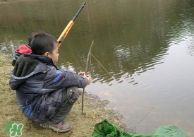 驚蟄能釣魚嗎？驚蟄釣什么魚好？