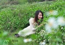 花粉過敏戴口罩有用嗎？花粉過敏戴什么口罩好？