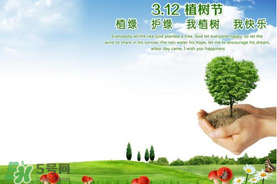 植樹節(jié)為什么要種樹？植樹節(jié)種樹的意義