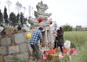 春分可以上墳嗎？春分可以掃墓嗎？