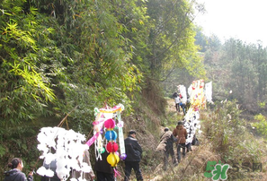 2017年什么時候攔社？2017年新墳攔社是哪一天？