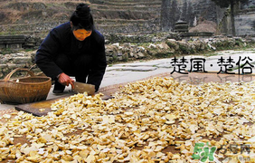 2017年什么時候攔社？2017年新墳攔社是哪一天？