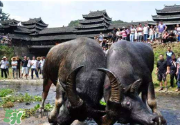 春社日怎么計(jì)算？2017年春社怎么算？