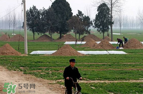 新墳不過社是什么意思？新墳不過社2017年哪一天？