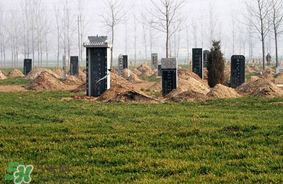 新墳不過社是什么意思？新墳不過社2017年哪一天？