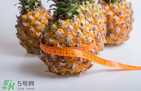 三月份什么水果上市？3月份什么水果上市？