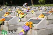 2017年清明節(jié)天氣怎么樣？2017年清明節(jié)天氣情況預(yù)測(cè)