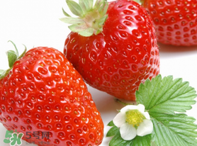 三月份有草莓嗎？三月份的草莓可以吃嗎？