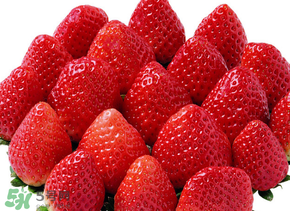 三月份有草莓嗎？三月份的草莓可以吃嗎？