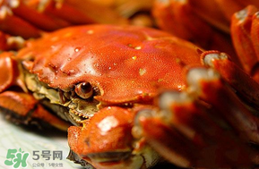 三月份吃什么螃蟹？3月份吃什么螃蟹？