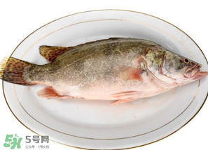 三月份吃什么魚？3月份吃什么魚好？