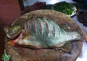 三月份吃什么魚？3月份吃什么魚好？