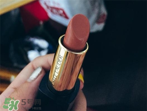 雅詩蘭黛envy110多少錢？雅詩蘭黛傾慕唇膏110價格