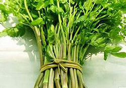 孕婦可以吃野芹菜嗎？孕婦吃野芹菜有什么好處？