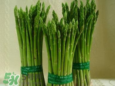 富含葉酸的食物有哪些？富含葉酸的蔬菜水果