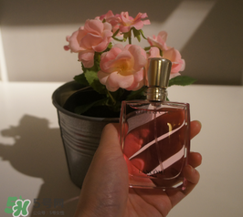 蘭蔻和迪奧香水哪個好？蘭蔻和迪奧香水推薦