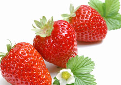 家里可以種草莓嗎？陽臺上可以種草莓嗎？