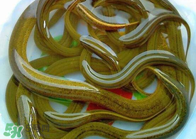 三月份可以釣黃鱔嗎？幾月可以釣黃鱔？