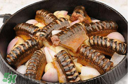 三月份可以釣黃鱔嗎？幾月可以釣黃鱔？