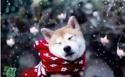 3月份還有冷空氣嗎？什么時(shí)候冷空氣結(jié)束？