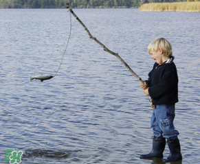 3月份釣什么魚？3月份怎么釣魚？