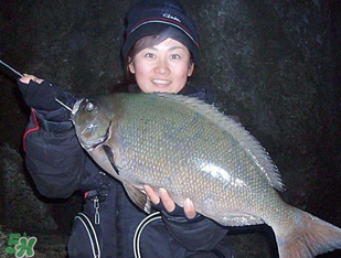 3月份釣魚用什么餌料？三月份釣魚用什么魚餌？