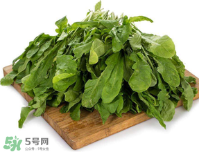 薺菜葉子黃了能吃嗎？薺菜發(fā)黃能吃嗎？