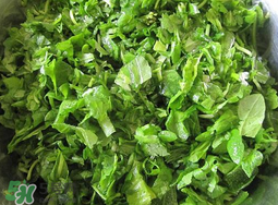 薺菜怎么洗？薺菜怎么洗才干凈？
