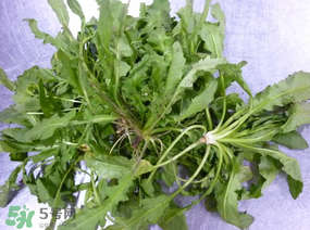 薺菜怎么保鮮？新鮮薺菜如何保鮮？