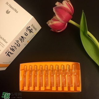 德國世家甘露怎么用?德國世家甘露使用方法 德國世家甘露怎么用?德國世家甘露使用方法