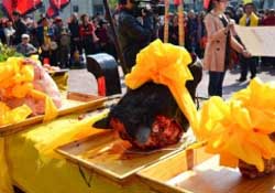春分可以祭祀嗎？祭祀在春分前還是后？
