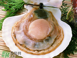 薺菜和扇貝可以一起吃嗎？薺菜扇貝湯的做法