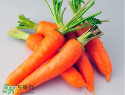 薺菜能和胡蘿卜一起吃嗎？薺菜可以和胡蘿卜一起吃嗎？