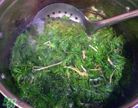 薺菜怎么焯水？薺菜焯水多久？